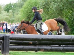 IMG_8254_web